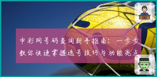 中彩网号码查询新手指南：一步步教你快速掌握选号技巧与功能亮点
