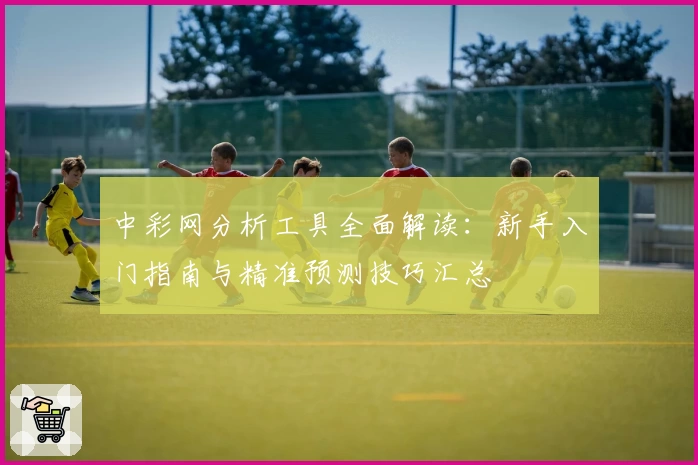 中彩网分析工具全面解读：新手入门指南与精准预测技巧汇总