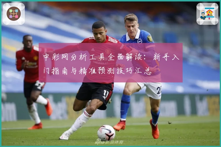 中彩网分析工具全面解读:新手入门指南与精准预测技巧汇总