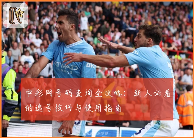 中彩网号码查询全攻略：新人必看的选号技巧与使用指南