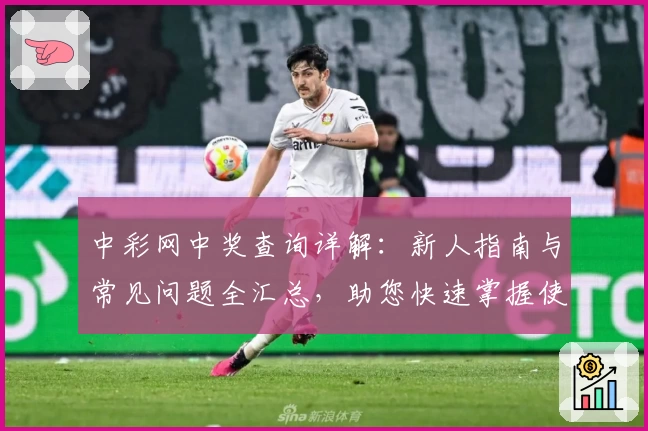 中彩网中奖查询详解：新人指南与常见问题全汇总，助您快速掌握使用技巧