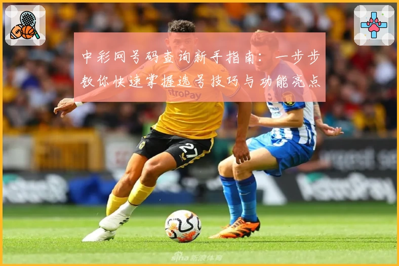 中彩网号码查询新手指南：一步步教你快速掌握选号技巧与功能亮点