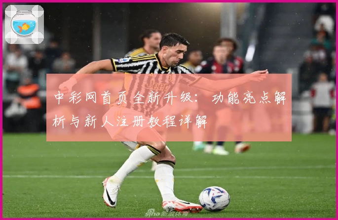 中彩网首页全新升级：功能亮点解析与新人注册教程详解