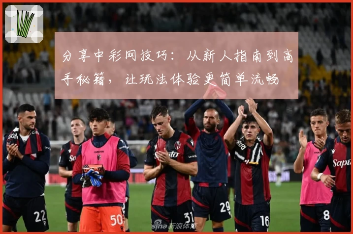 分享中彩网技巧：从新人指南到高手秘籍，让玩法体验更简单流畅